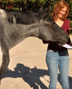 Alternative Behandlung für Pferde: Osteopathie und Akupunktur